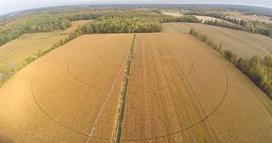 Southern Michigan Land Auction - 2 Auctions in 1 - 229+/- Acres and 66+/- Acres